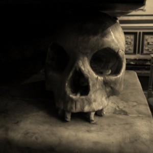 Skull Image (photo by Dave Senior)